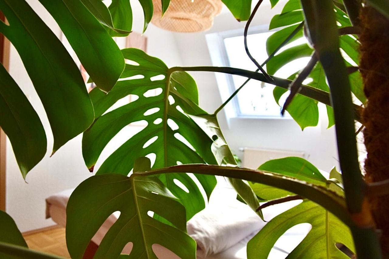 Greenbnbs: Cozy Urban Jungle In The City Centre Эссен Экстерьер фото